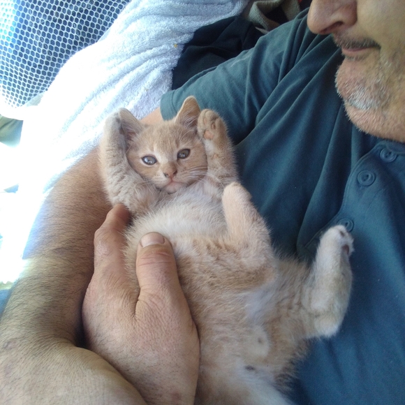 Meet your Posher, Paul - Picture 3 of 8